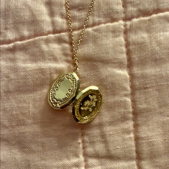 NWT Altar'd State Gold Oval Locket Pendant Necklace - Picture 6 of 6